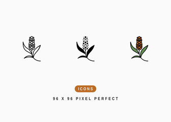Pearl Millet Icon. Pennisetum Americanum Symbol Stock Illustration. Vector Line Icons For UI Web Design And Presentation