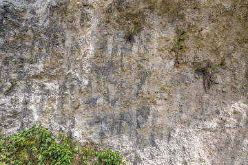 stone wall with vertical rigid gray brown tan background pattern wallpaper texture nature