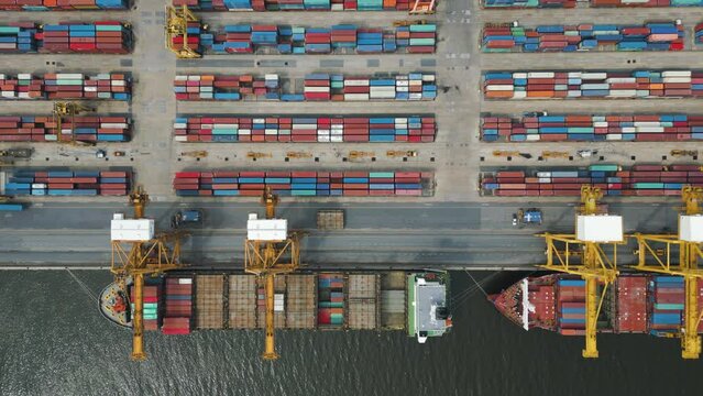 Strategic Logistics Hub: Aerial Top-Down View of Import-Export Port with Stacks of Cargo Containers and Impressive Cranes