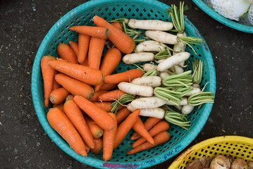Vegetable on the market, red carrot and white carrot