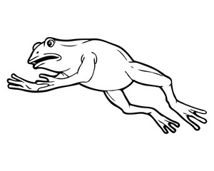 frog line vector illustration