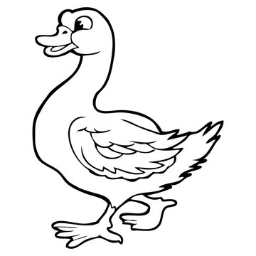 duck outline vector illustration