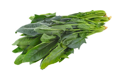 Spinach leaves isolated on transparent png