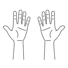 Obraz premium 手のひら両手のイラスト線画｜カルテなどの診療記録に使える
