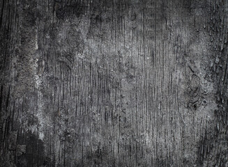 Old wooden background. Grunge wood texture. Abstract background for design.