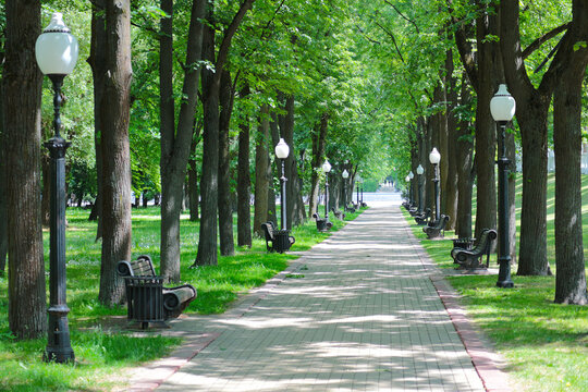 A beautiful alley in the park with lanterns and benches along the pedestrian sidewalk, neatly paved with paving slabs. Horizontal photo.