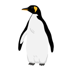 King Penguin. Flat vector illustration. Polar animal