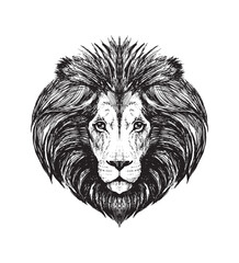 Realistic engraving drawing of lion muzzle, wild beast head, zoo, safari, line vector illustration isolated on white background. Detailed hand drawing.