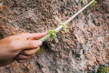 The hand of a climber or climber holds a frayed rope, danger on the rock concept