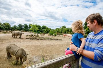 Cute adorable toddler girl and father watching wild rhinos in zoo. Happy baby child, daughter and...