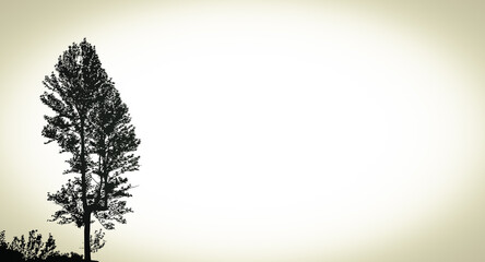 Fototapeta premium Background image for place texts images for any suitable concept.