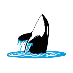 illustration of jumping orca - obrazy, fototapety, plakaty