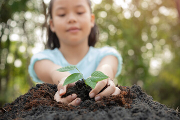 .World environment day concept with girl holding small trees in both hands to plant in the ground. hand holding small tree for planting in forest. green world. morning light on nature background.