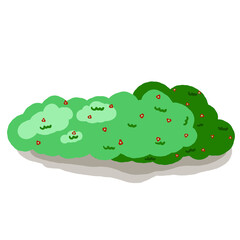 green caterpillar on a white background