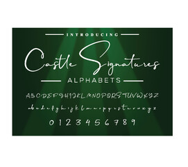 Signature Font Calligraphy Logotype Script Font Type Font lettering handwritten