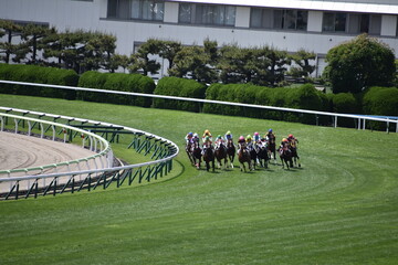 函館競馬場
