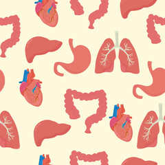 Pattern human organs liver intestines heart vector illustration