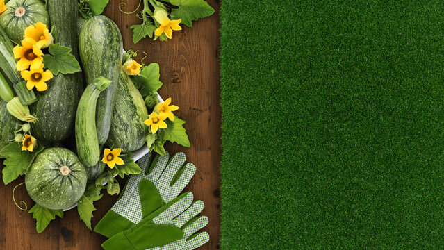 Vegetable garden product on wooden table with zucchini, flower and gloves. Green lawn grass surface background with copy space. Banner for horticulture work and vegetables online shopping commerce