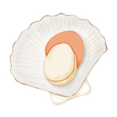 Fresh scallop shell. Seafood.The menu design element of a fish restaurant, market or store.