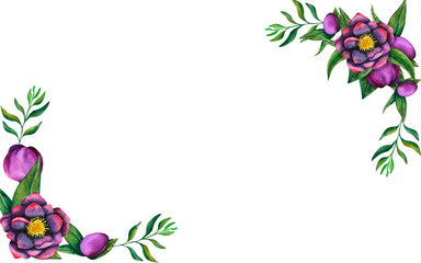 Hellebore black.Banner-frame of watercolor elements on a transparent background. Hand drawn flowers, buds and leaves. Watercolor botanical work for cards, invitations, textiles and paper products