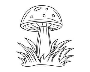 Mushroom. A fly agaric. Cartoon, drawing. Coloring book for children. Vector. Outline drawing for print, magazines, children's illustrations. Used for web design. White background. 