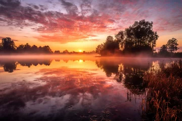 Zelfklevend Fotobehang Amazing sunrise in misty lake in wild forest. Generative AI, Generative AI © Cavan
