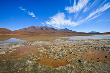 Laguna Colorada, means Red Lake is a shallow salt lake in the southwest of the Altiplano of Bolivia