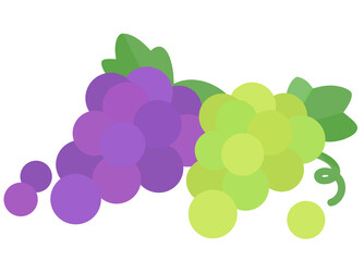 シンプルなぶどう