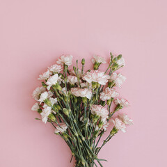 Flatlay of pink carnation flowers bouquet on pastel pink background. Top view minimalistic floral composition with copy space. Valentine's Day, Mother's Day concept