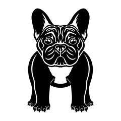 French bulldog breed dog icon on white background.