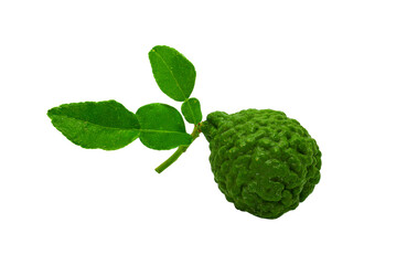  bergamot isolated on png background