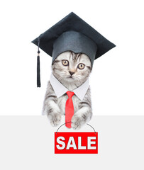 Happy graduated cat wearing necktie  looks above empty white banner and  holds signboard with labeled 