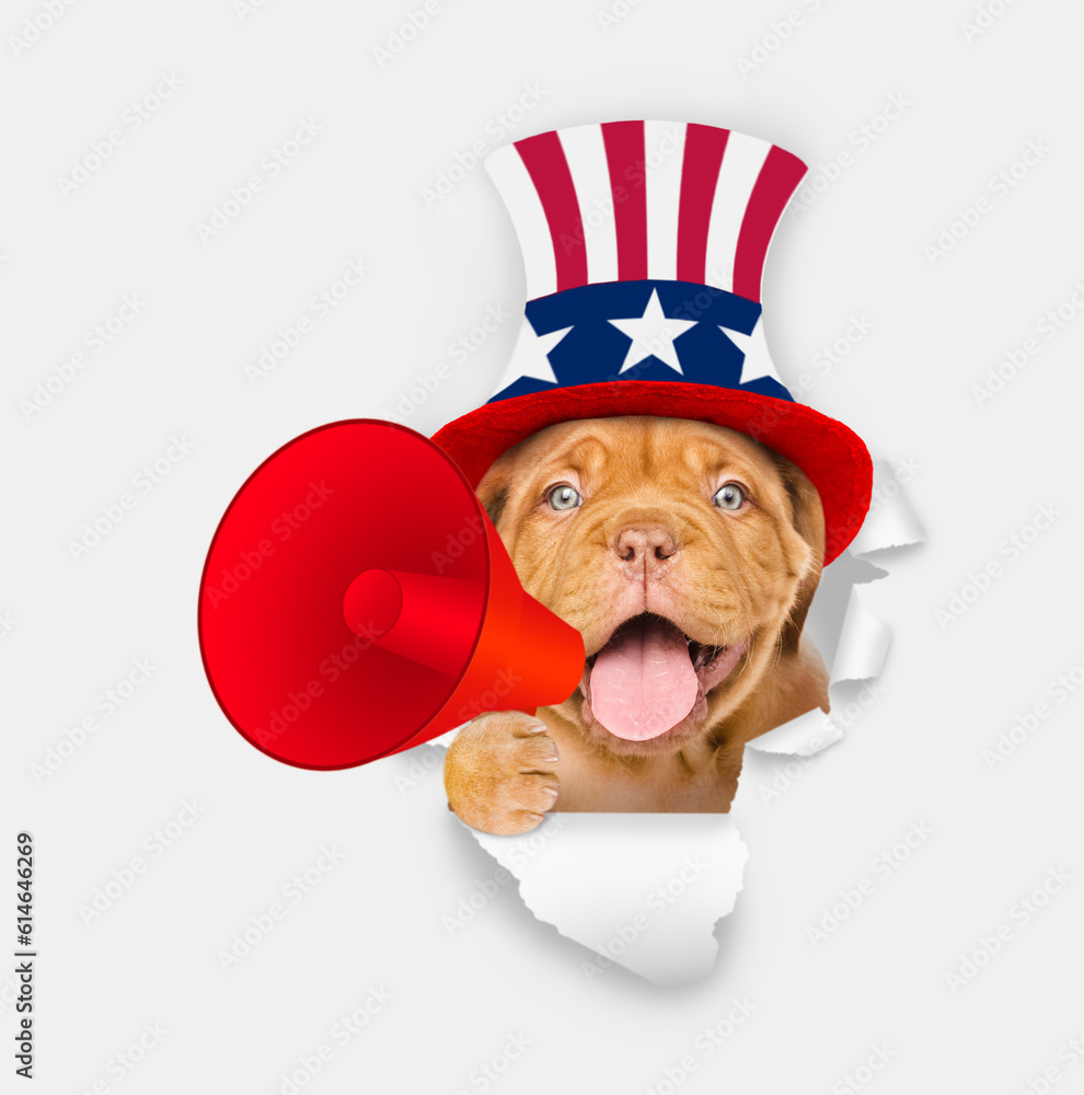 Poster happy mastiff puppy wearing like uncle sam looking through a hole in paper and shouts into megaphone