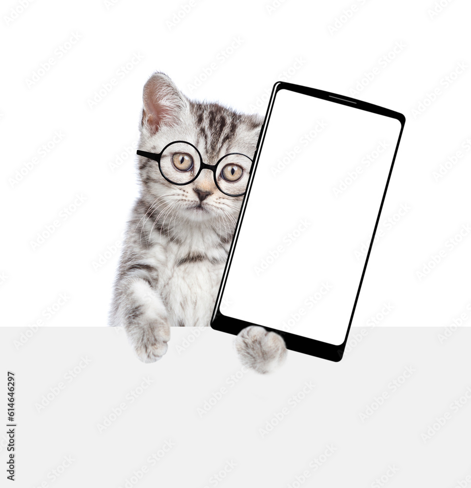 Poster smart cat wearing eyeglasses looks above empty white banner and shows big smartphone with blank scre