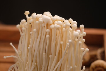 Flammulina filiformis is a species of agaric in the family Physalacriaceae. Enokitake mushroom.