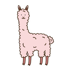 Cute baby llama character. Charming funny alpaca in flat style. Flat vector cartoon textured illustration of fluffy llama. Animal toy on white background