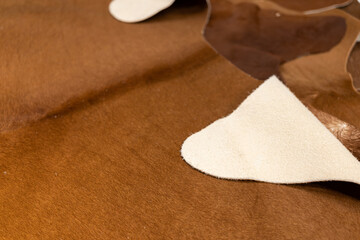 Animal hair of fur cow leather texture background.Brown natural cow fur texture.Natural brown fur texture. Cattle hides, showcase in the store.