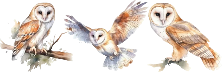 Foto auf Alu-Dibond Collection of three watercolour paintings of a barn owl isolated on white background as transparent PNG, generative AI animal clipart bundle © Flowal93