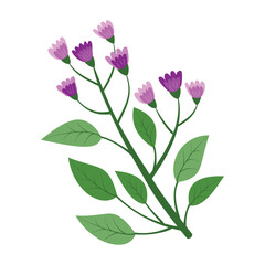 Purple and pink flowers floral branch, twig. Beautiful delicate fluffy blooms, blossomed herb, gentle wildflower.