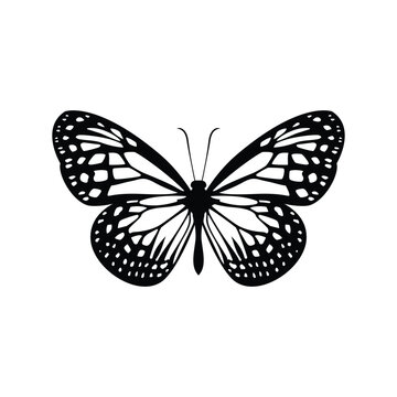 butterfly logo design is simple modern in white and black