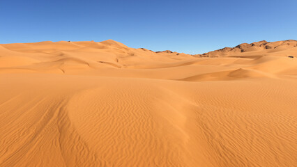 Fototapeta na wymiar Beautiful sand dunes in the desert