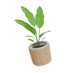 3d Decorative Plant. icon isolated on white background. 3d rendering illustration