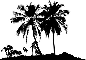 Palm tree silhouette. Black vector border