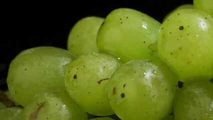 Bunch of green grapes with water drops. Close-up