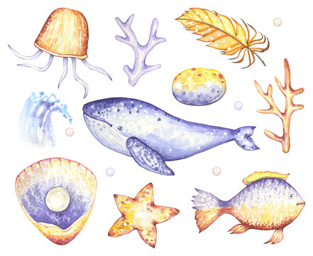 Sea set with a whale, algae, jellyfish, shells, fish, in purple and yellow tones, watercolor