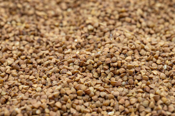 Pile of buckwheat grains as background, spice or seasoning as background. close-up buckwheat