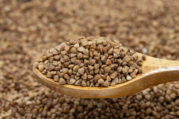 Buckwheat on wooden spoon. Pile of buckwheat grains. close up