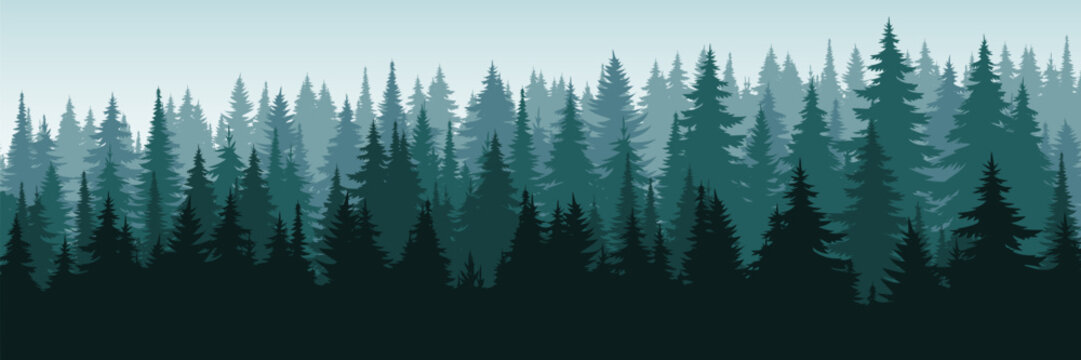 Abstract tree landscape background. Forest panorama landscape background © top dog