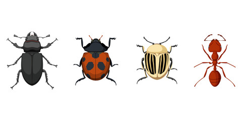 Bug icon collection in a flat design. Set of beetle silhouette. Vector insect logo