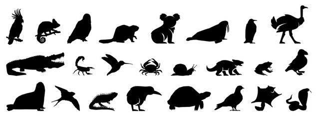 Black animal silhouette collection. Set of black animals icon. Vector animals icon